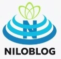تور غواصی با دلفین کیش
